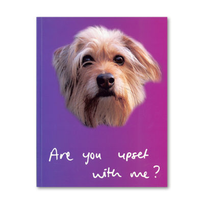 Grant Stevens: Are You Upset With Me?