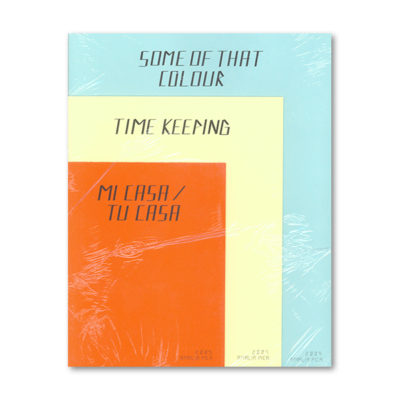 Amalia Pica: Some of that colour