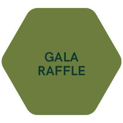 IMA Winter Gala Raffle Ticket (1)