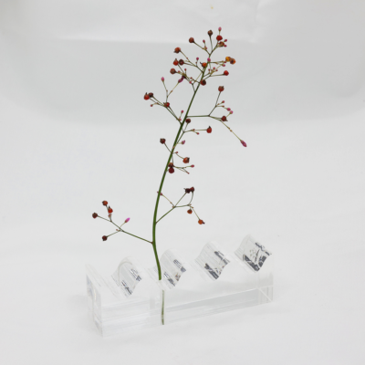 Dorkus Designs - Trip Single Bud Vase