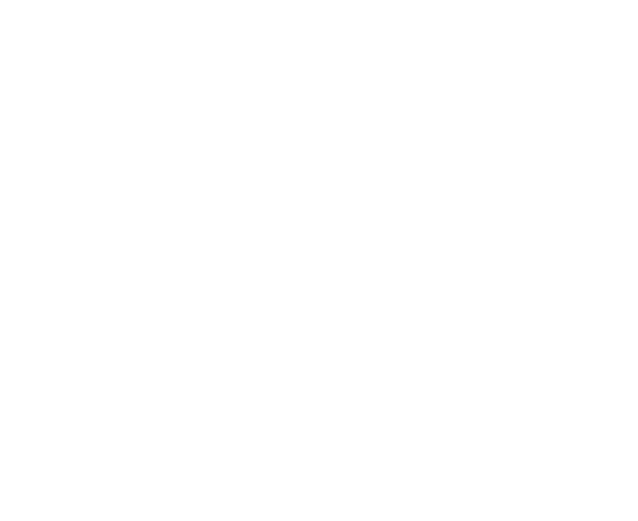SK-SO-Logo-Reversed