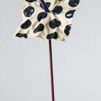 Dotrium Ivory