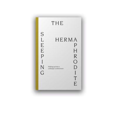 The Sleeping Hermaphrodite