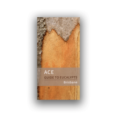 ACE GUIDE TO EUCALYPTS Brisbane by Roderick Fensham