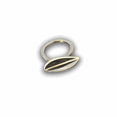 Rachael Grigulis: Curved Ring (X series)