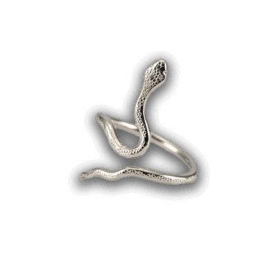 Georgina Dunn Jewellery - Snake ring with short tail and texture - small