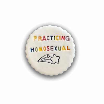 Practicing Homosexual Magnet (medium) by Handy Andie Ceramics