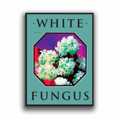 White Fungus: Issue 16