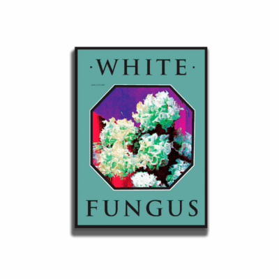 White Fungus: Issue 16