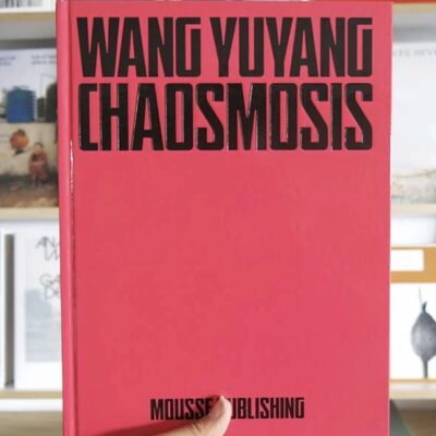 Wang Yuyang: Chaosmosis