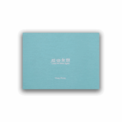 Wang Zhong – Until We Meet Again