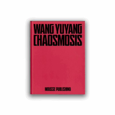 Wang Yuyang: Chaosmosis