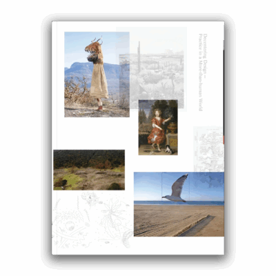 Decentering Design — Practice in a More-than-human World