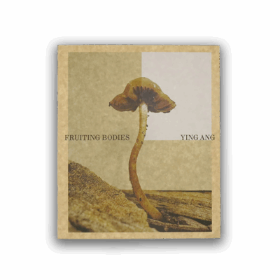 Ying Ang – Fruiting Bodies