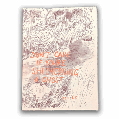 Don't Care if You're Shepherding a Ghost by Edie Bush