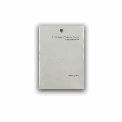 A Friendship of Cake and Flowers Zine - Ornate Gesture