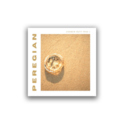 Andrew Butt Trio + - Peregian