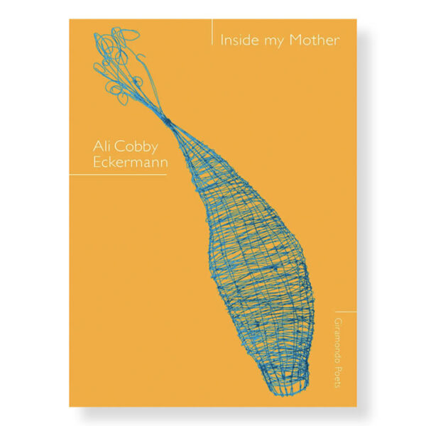 Inside my Mother, Ali Cobby Eckermann Institute of Modern Art