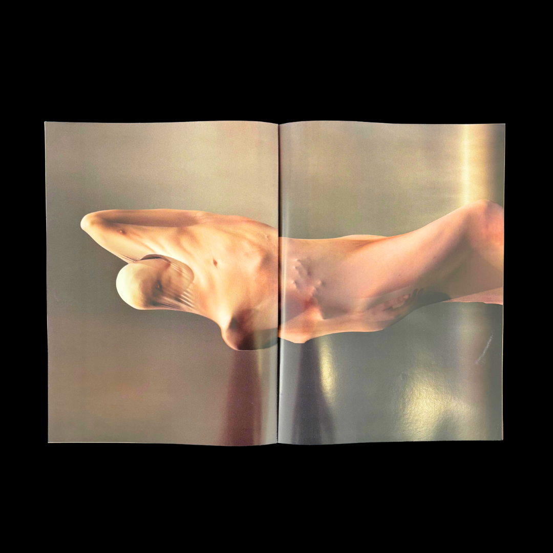 Current Obsession Current Obsession- Issue 9 – Chapter VI – Self-Tchnology of Becoming ...
