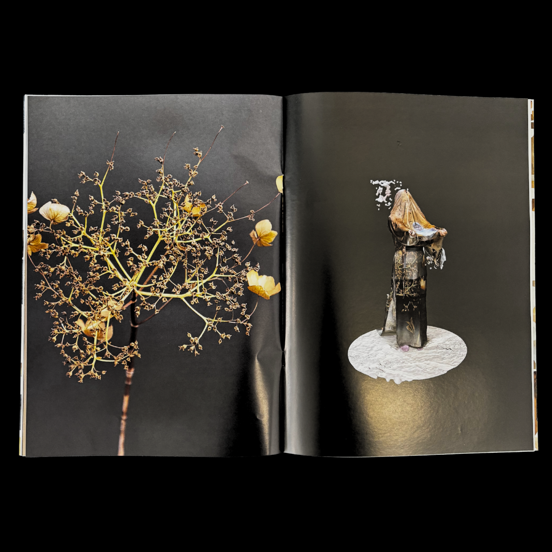 Current Obsession Current Obsession – Issue 8 – Chapter I – Body as an Intermediary ...