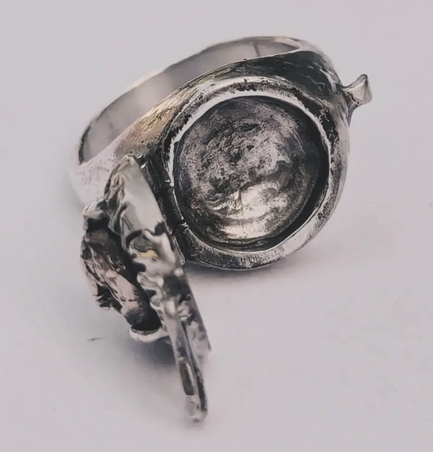 Poison Ring by Belle Kent Jewellery Institute of Modern Art