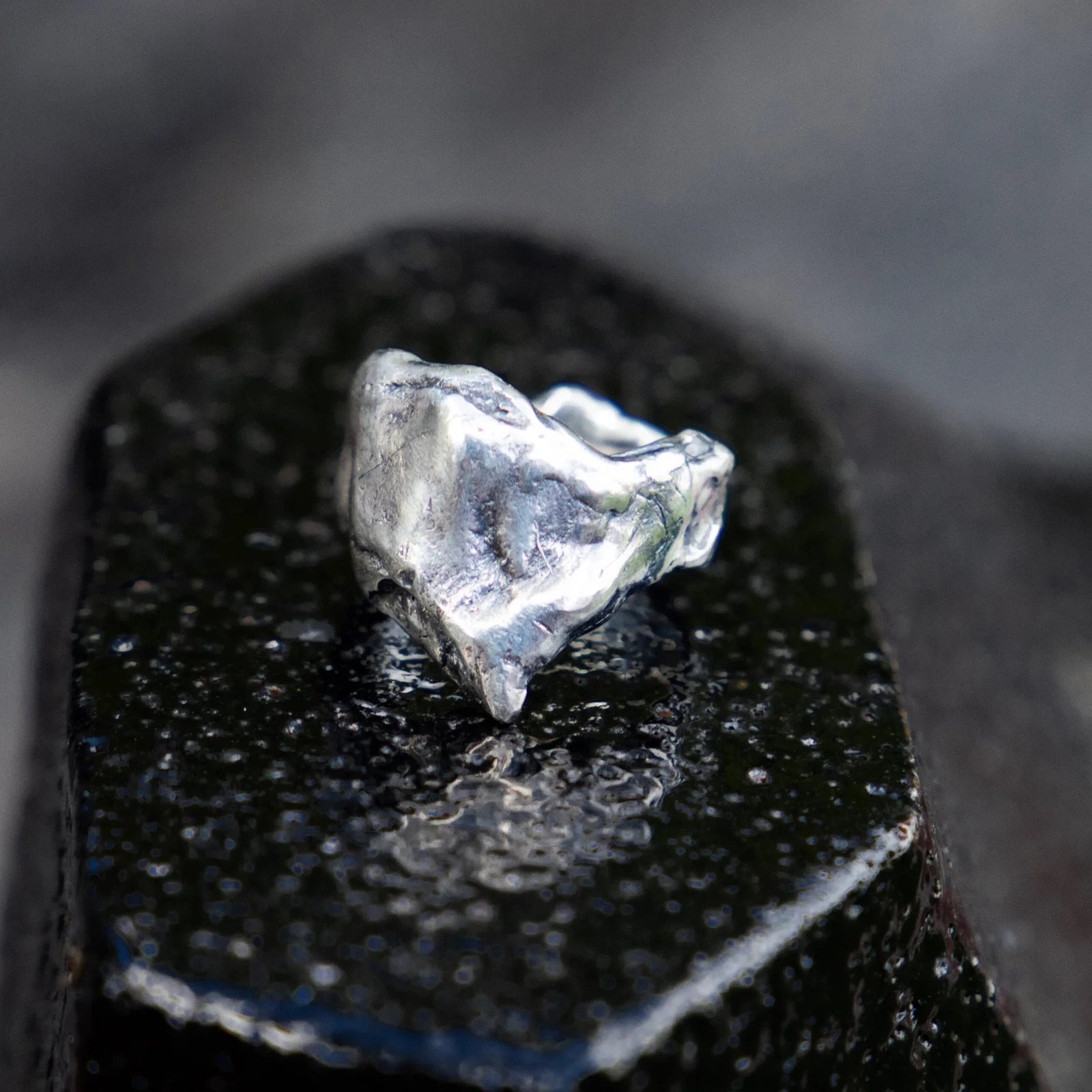 Fatty Boi Ring by Lorissa Toweel | Institute of Modern Art