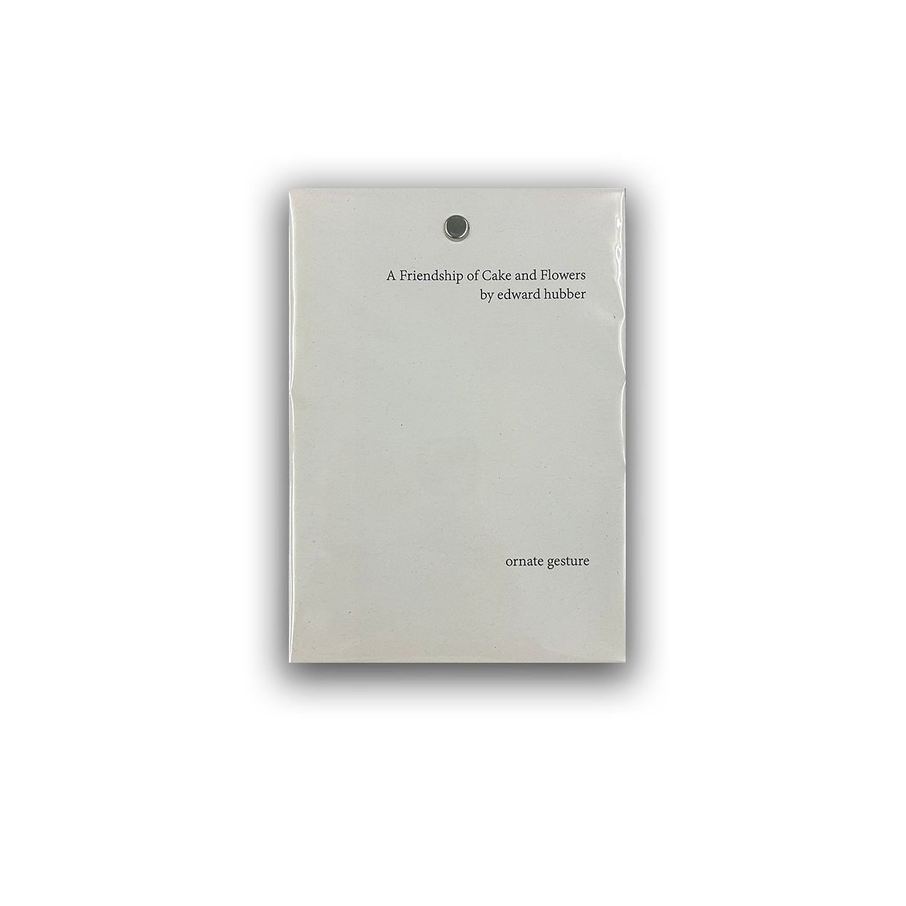 a-friendship-of-cake-and-flowers-zine-ornate-gesture-institute-of